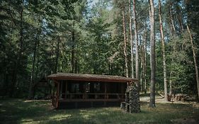 Forest Cabin - 50min od Warszawy